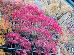 -叠溪松坪沟景区