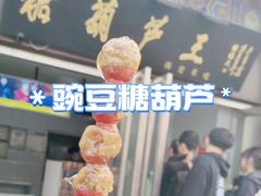 -糖葫芦王保定名吃(古莲花池店)