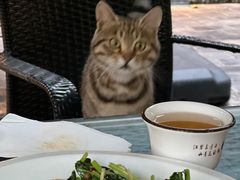 -炊烟餐厅