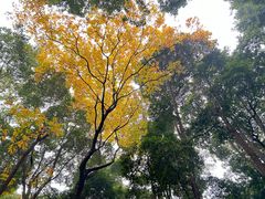 -成都杜甫草堂博物馆