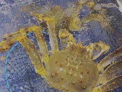 -十二海鲜(南湖店)