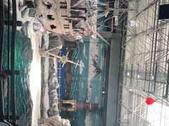 -杭州长乔极地海洋公园