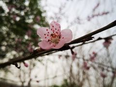 -秀水公园