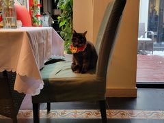 -EATALIA意塔利意式餐厅(鼓楼店)