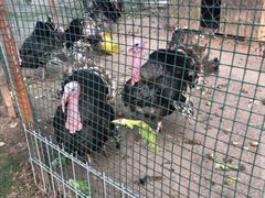 -前小桔亲子创意农场·草莓采摘·露营烧烤