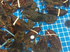 -青岛蓝海大饭店·渔歌舫(李沧店)