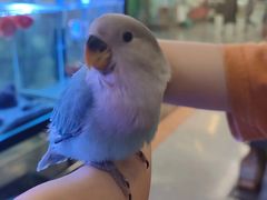 -宠物世家(仲盛世界商城店)