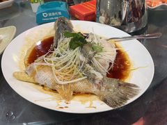 -东鸽皇(奥园·中环广场店)