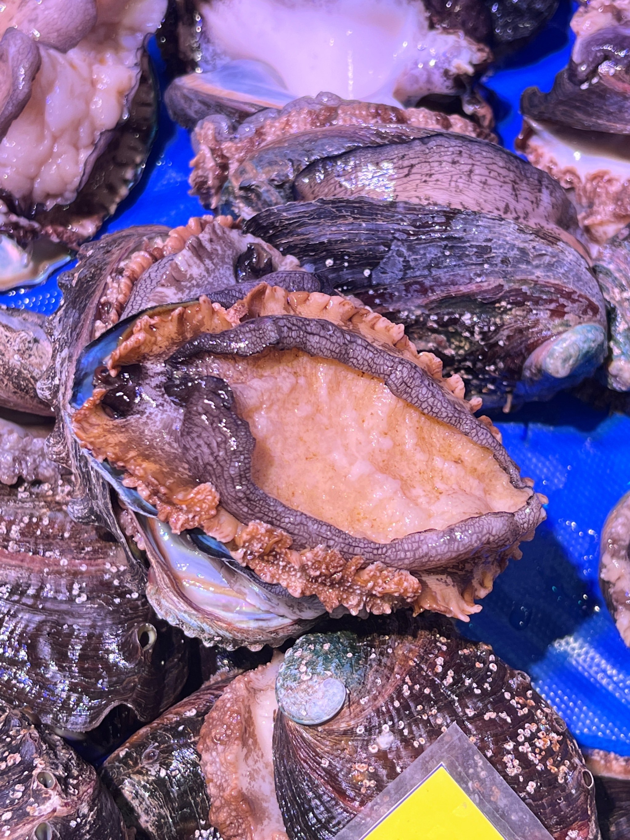 "三个渔夫"独特的海鲜盛宴