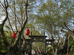 -杭州黄龙洞
