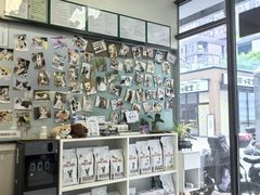 -爱妮康宠物医院·干细胞免疫细胞·肿瘤·心脏(张江店)