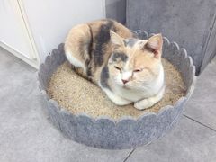 -极木²邸 人与宠物·互动社区