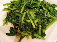 清炒高山豆苗-新南华大酒店(长寿店)