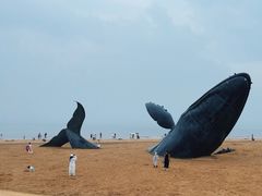 -烟台金沙滩海滨公园