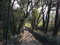 -天姥山