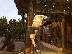 -那家小馆•北京菜•烤鸭(香山店)