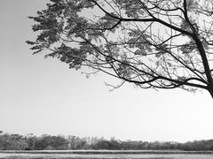 -盘龙城国家考古遗址公园