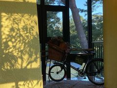 -三鹰之森吉卜力美术馆