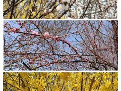 景点-沈阳南湖公园