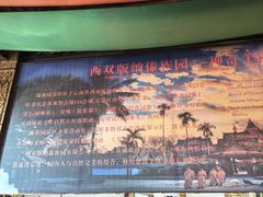-西双版纳傣族园