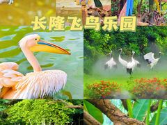 -广州长隆旅游度假区