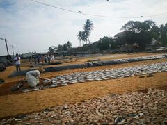 -尼甘布海鲜市场