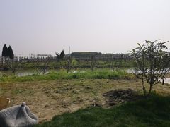 -美家乐农庄·露营·团建(大治路店)
