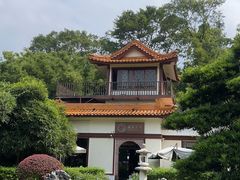 -深圳仙湖植物园