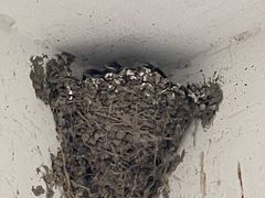 -渔娘蟹庄(阳澄湖莲花岛店)