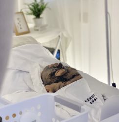 -Cream88颜皮肤管理中心