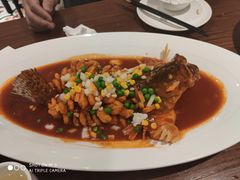 -乔家栅(襄阳南路店)