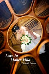 -张涛·欣悦造型