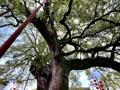 -新安江山水画廊风景区