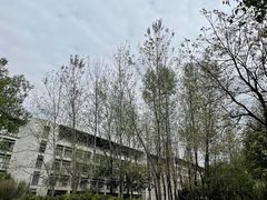 -东华大学(松江校区)