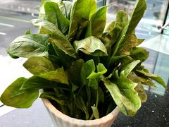 菠菜-锅季·捞王旗下小火锅(虹桥火车站店)