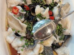 -陶缘一号·四季缘·老字号顺德菜·户外婚礼家宴(西滘店)
