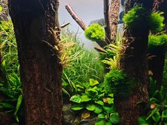 -重庆欢乐海底世界
