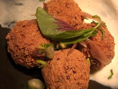 -毛辣果·酸(OHA复兴西路店)