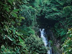 -梧桐山风景名胜区