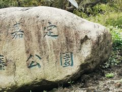 -嘉定紫藤园