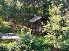 -石家庄市动物园