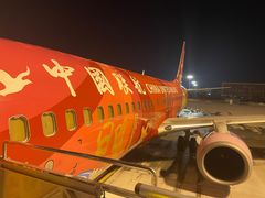 -威海大水泊国际机场