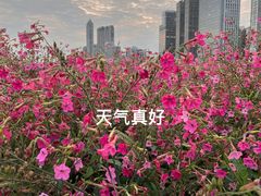 -二沙岛艺术公园