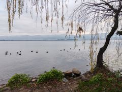 -西昌邛海湾柏樾酒店(原邛海湾柏栎度假酒店)