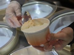 -Dip in Gelato(富民路店)