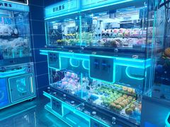 -五月花商业广场(中山五路店)