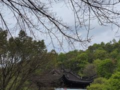 -重庆园博园