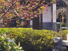 -江宁织造博物馆