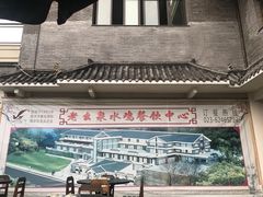 -老幺泉水鸡