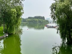 -大兴滨河森林公园